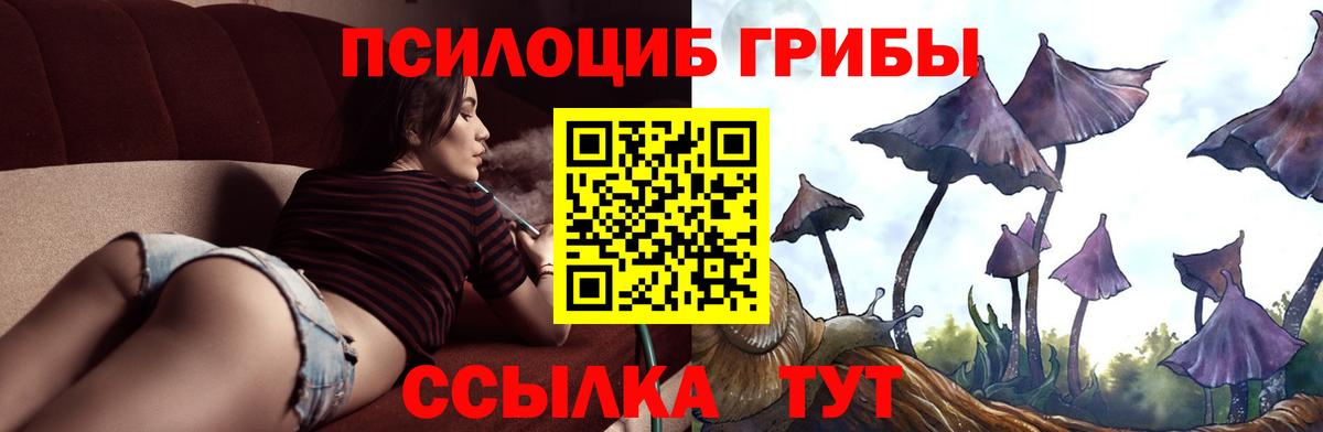 Галлюциногенные грибы Cubensis  Вход с VPN  Псилоцибиновые грибы Magic Shrooms  Нарткала 